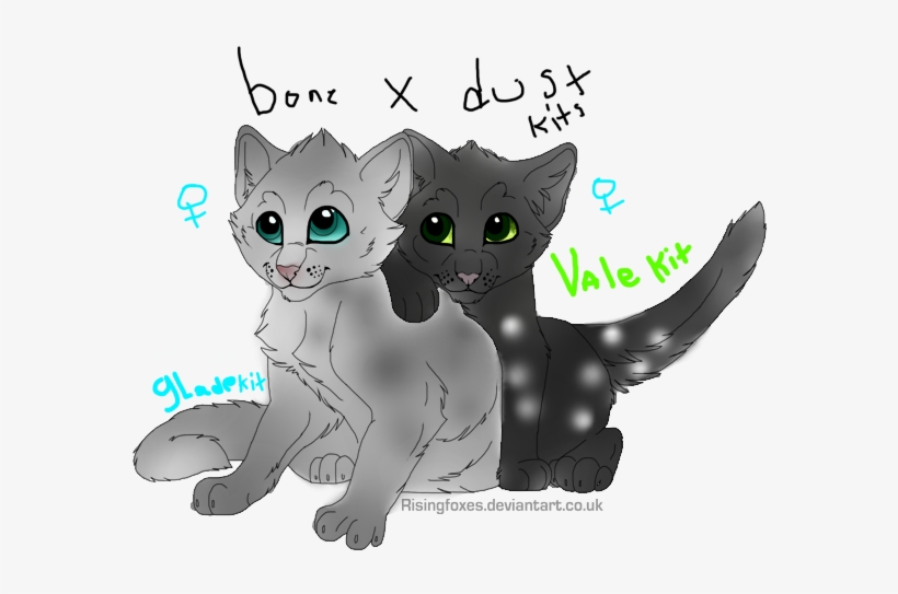 Download Vector Freeuse Stock Png Free Images Toppng - Warrior Cats Bone Kits, transparent png download