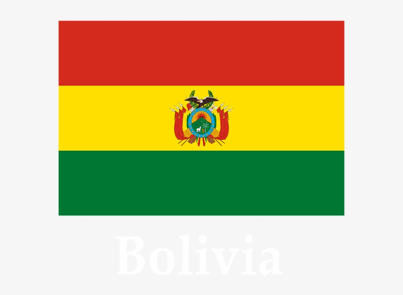 Bleed Area May Not Be Visible - Bolivia Flag, transparent png download