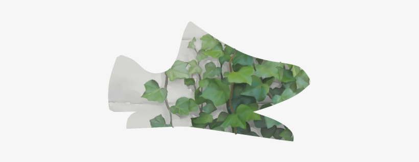 Watercolor Vines, Climbing Plant Grus Men's Breathable - Ivy, transparent png download