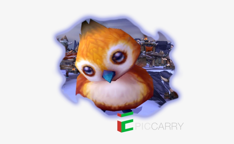 I Found Pepe - United States Of America, transparent png download