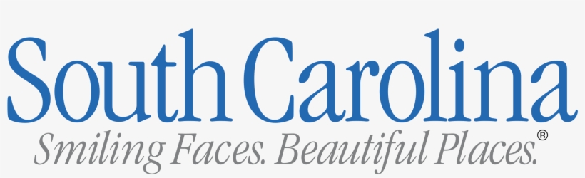 South Carolina Logo Png Transparent - License Plate Sc Blank, transparent png download