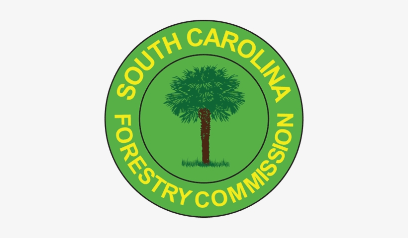 Urban Forestry Coordinator Logo - Sc Forestry Commission Logo, transparent png download