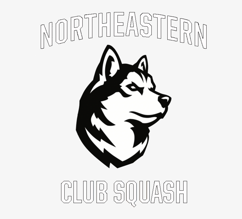 Nu Squash - Northeastern Husky Logo, transparent png download