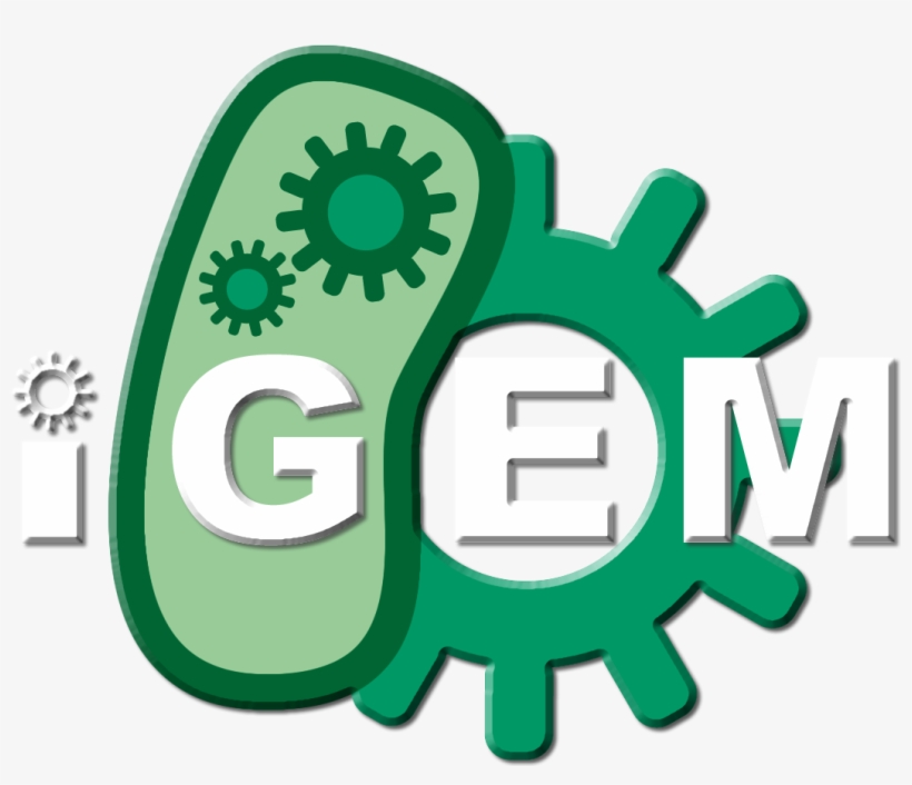 International Genetically Engineered Machine, transparent png download
