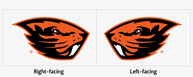 Beaver Logo Alignment - Oregon State Beavers Logo Png, transparent png download