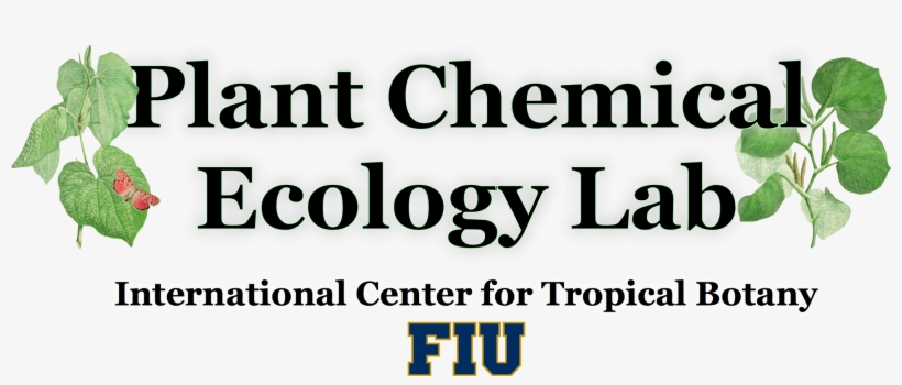 Plant Chemical Ecology At Fiu - Parallel, transparent png download