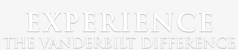 Vanderbilt Financial Group Is An Independent Broker - Calligraphy, transparent png download