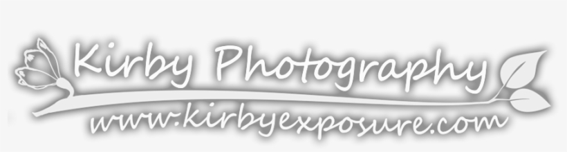 Logo, transparent png download