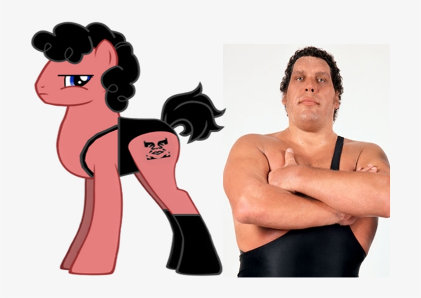 André The Giant, Ponified, Safe, Wwe - André The Giant And The Big Show, transparent png download