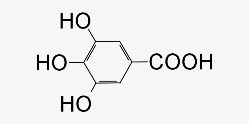 Gallic Acid - Acid Gallic, transparent png download
