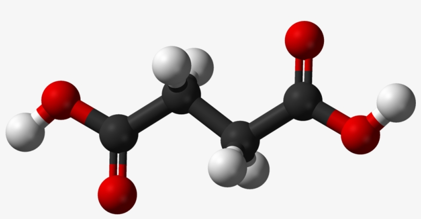 File - Succinic Ac - Molecular Structure Of Fumaric Acid, transparent png download