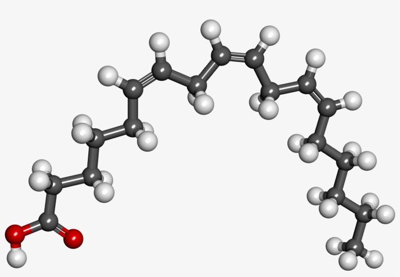 Gamma Linolenic Acid - Linolenic Acid, transparent png download