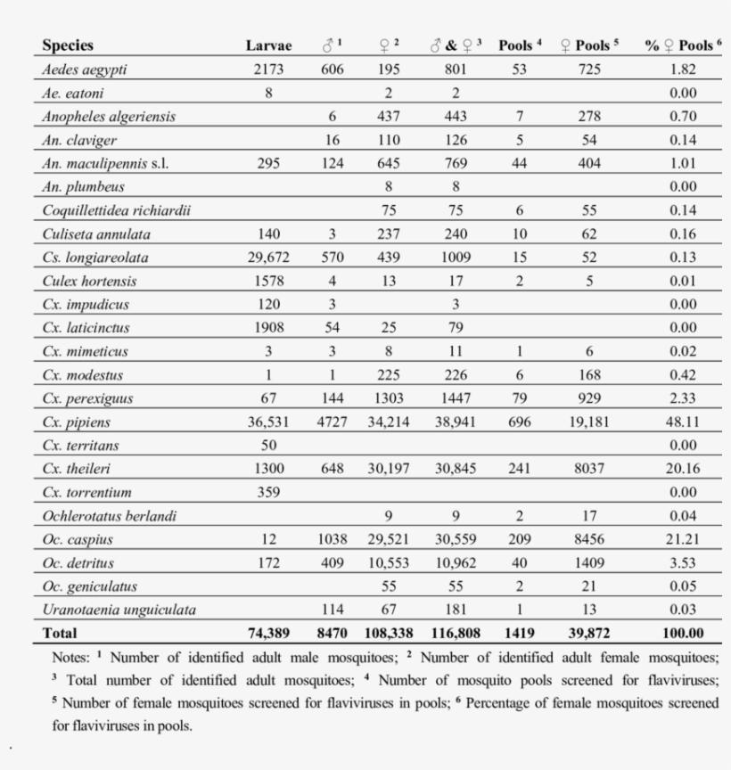 Mosquito Species Collected In Portugal In The Frame - Document, transparent png download