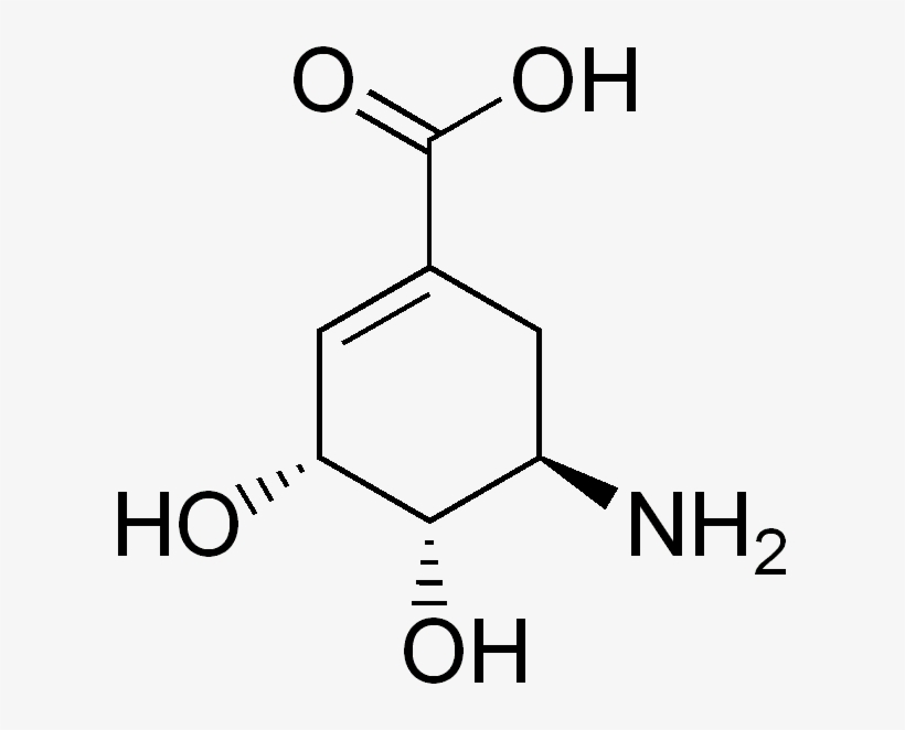 Aminoshikimic Acid - 3 Cyclohexenecarboxylic Acid, transparent png download