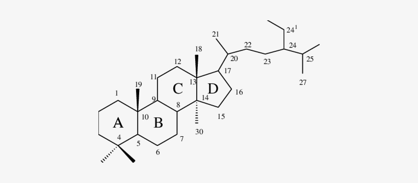 Steroid Nucleus - Холестерин Нумерация Атомов, transparent png download