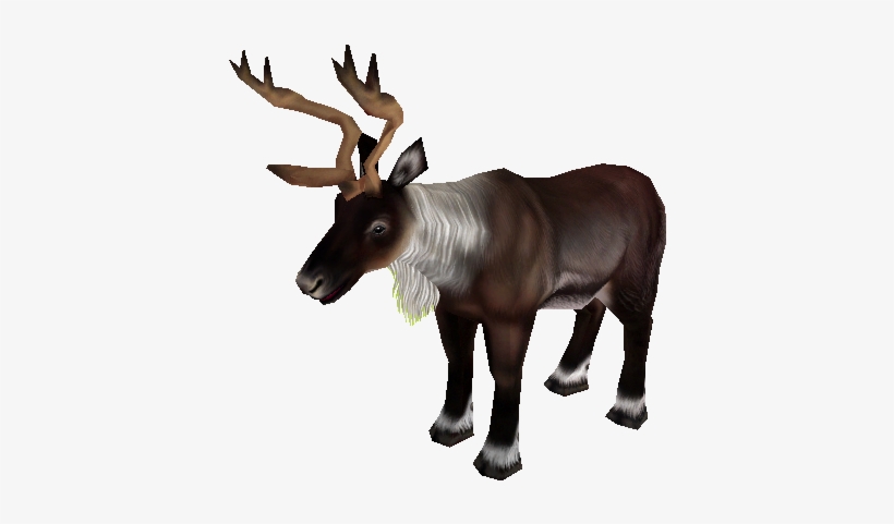 Download Zip Archive - Zoo Tycoon 2 Caribou, transparent png download