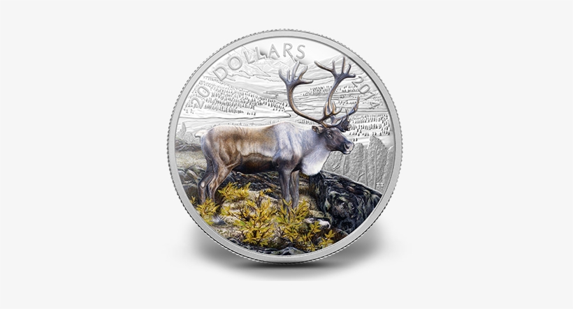Fine Silver Coin - Coins Of Canada [book], transparent png download