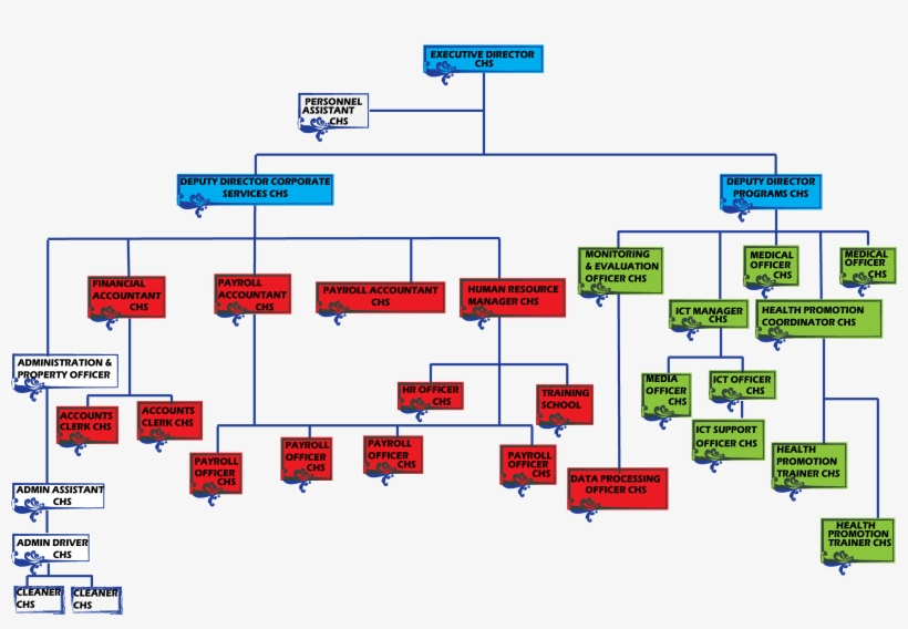Organizational Structure - Diagram, transparent png download