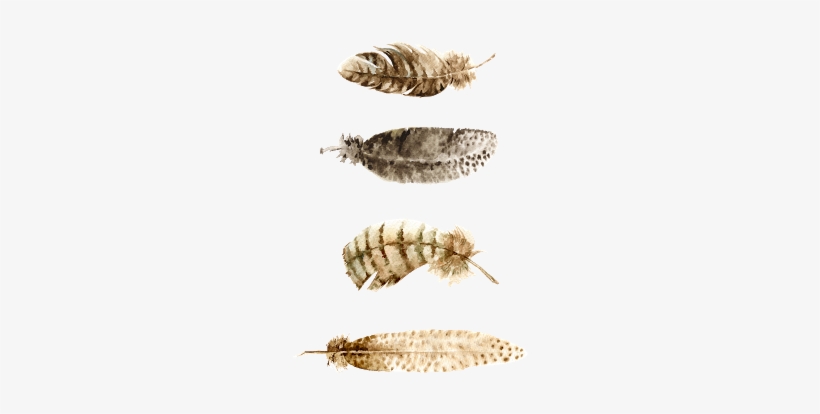 Feather Wall Charts & Free Feather Printables - Feather Necklace Pendant, Silver Feather Jewelry, Tribal, transparent png download