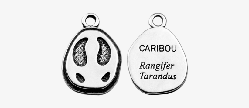 Caribou - Earrings, transparent png download