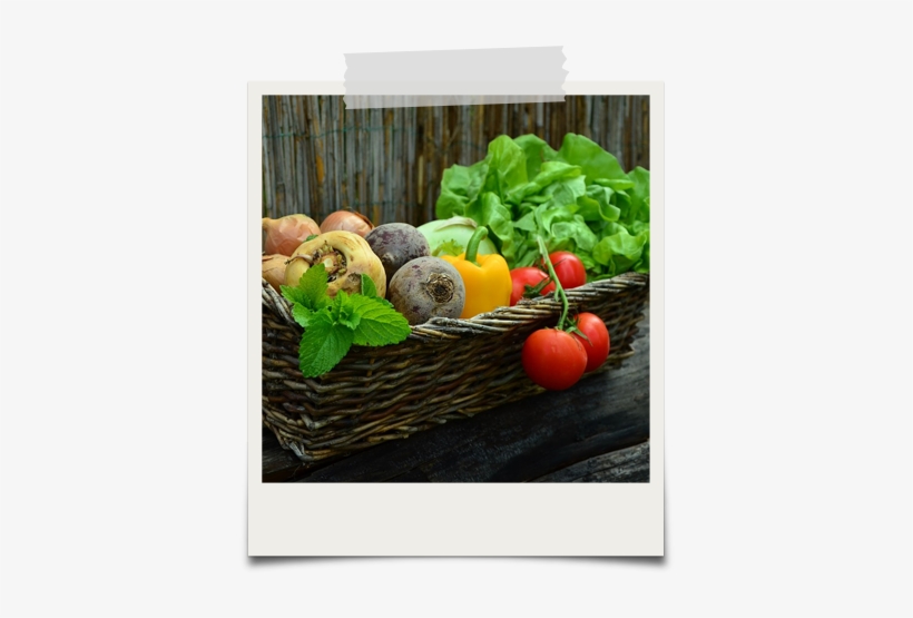 At Edward & Sons, We Believe That Consumers Deserve - Daily Food Log 2017 [book], transparent png download