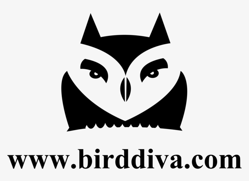 Www - Birddiva - Com-logo Format=1000w, transparent png download