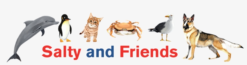 Home - Notebook, transparent png download