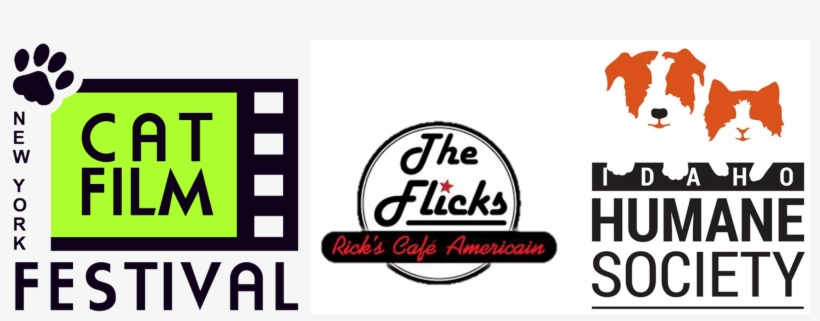 Cat Film Festival - Idaho Humane Society, transparent png download