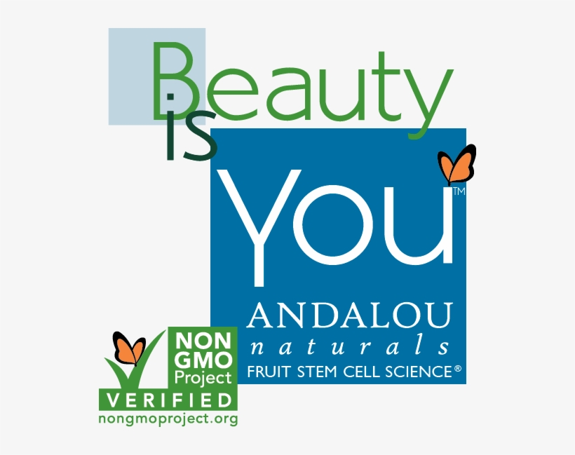 Beauty Is You Andalou Non-gmo - Ancient Harvest Quinoa Gluten Free Spaghetti 8 Oz (pack, transparent png download