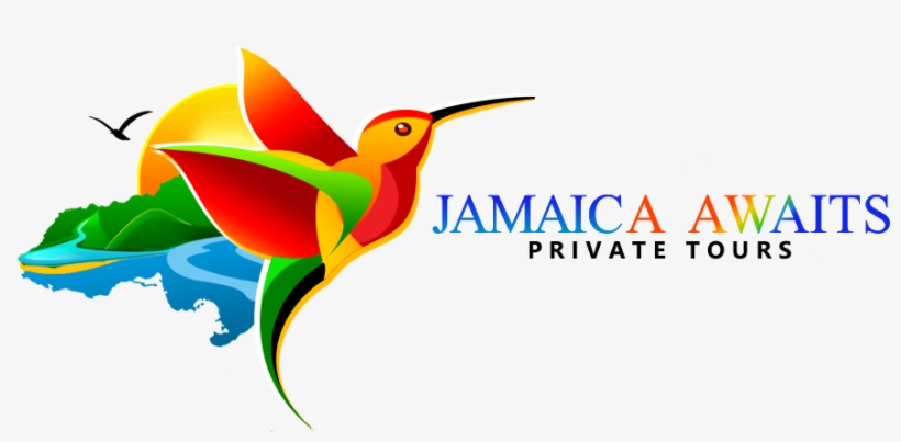 Jamaica Awaits Private Tours - Jamamcian Bird Png, transparent png download