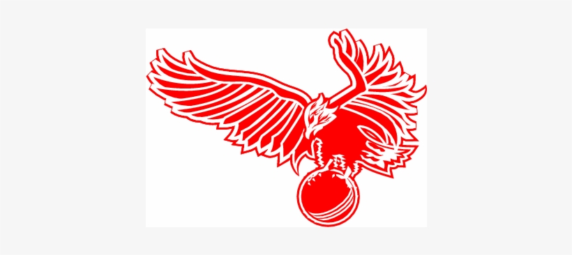 Cricket,team - Logos For Cricket Team, transparent png download