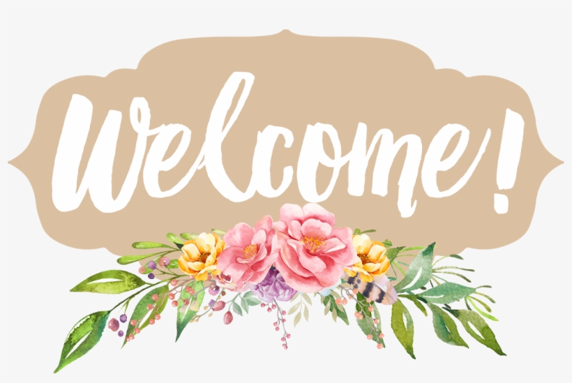 Newborn Design, transparent png download