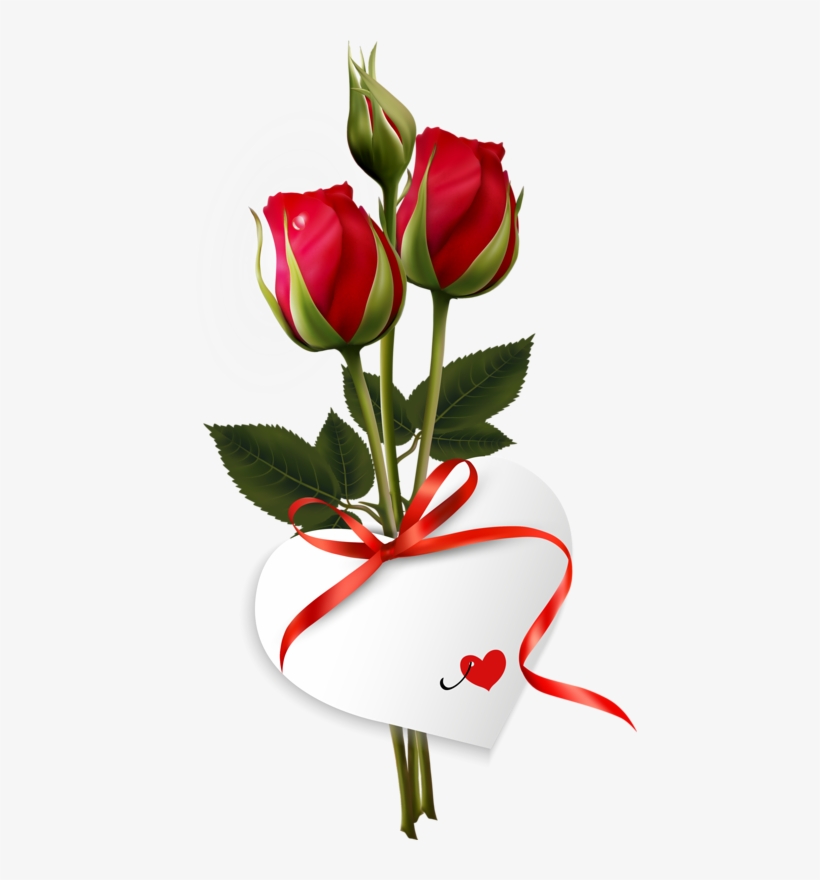 Me Gusta Xa Un Regalo - Good Morning With Rose, transparent png download