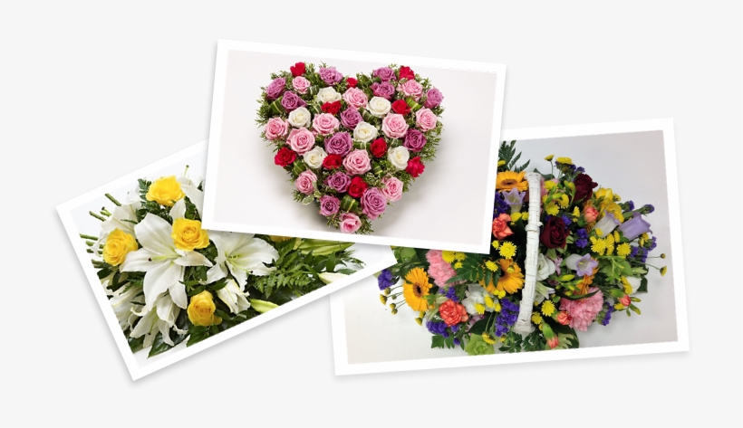 Welcome To Make My Day Flowers - Moss-rose Purslane, transparent png download