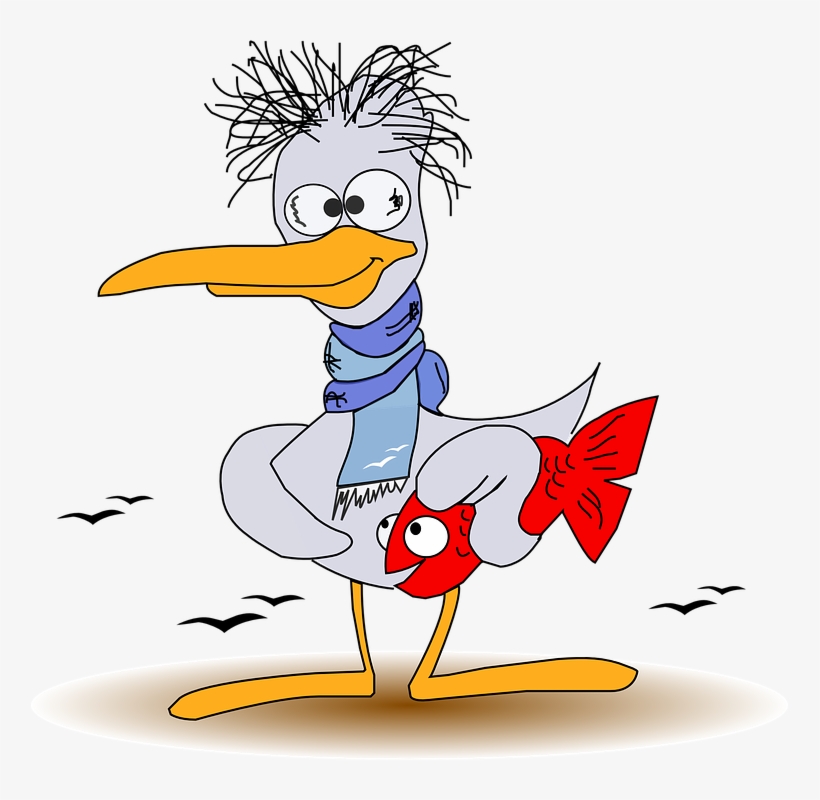 Seagull Graphics - Funny How's Your Day, transparent png download