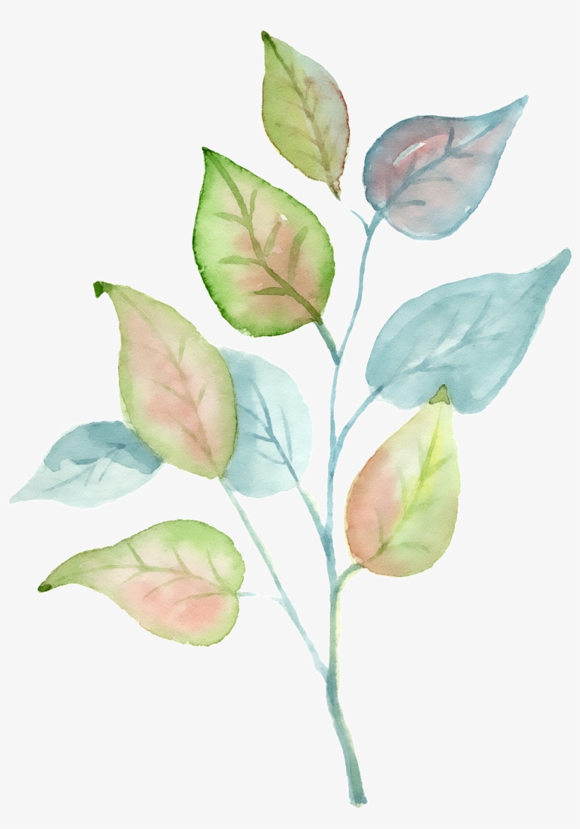 Hand Painted A Tricolor Leaf Png Transparent, transparent png download