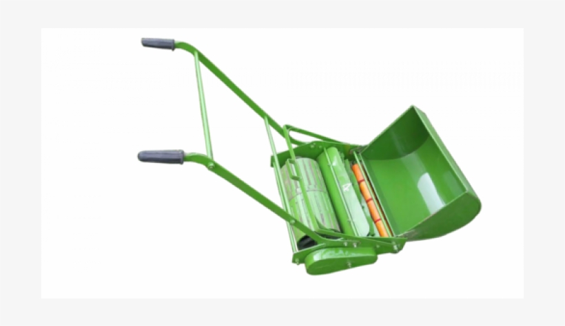 Lawn, transparent png download