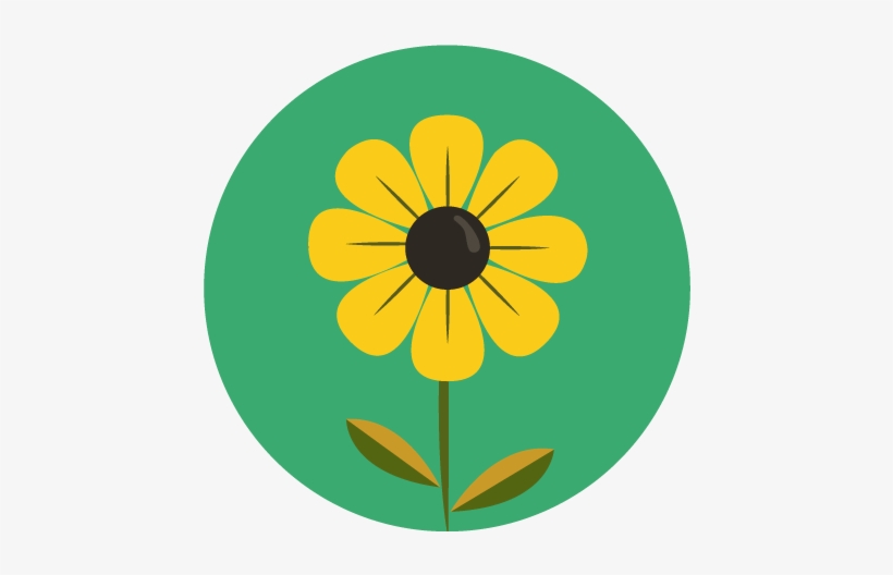 Order Flowers Easily - Virág Szirom, transparent png download