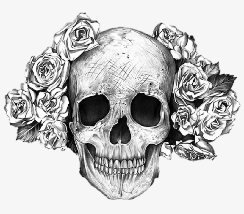 Drawn Bones Transparent - Rose Skull, transparent png download