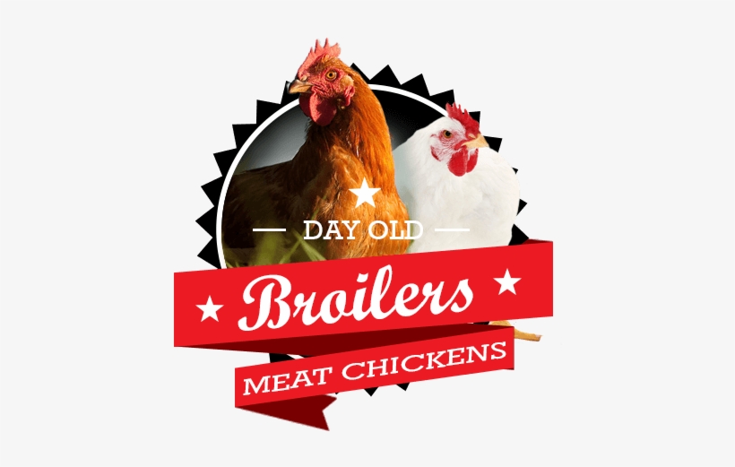 Shimano Deore Fc T521, transparent png download