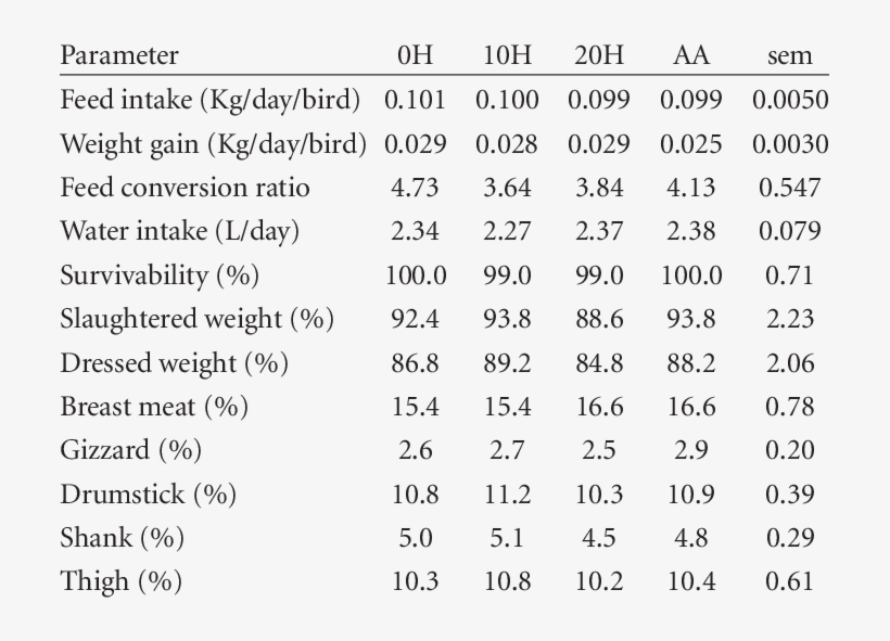 Effect Of Honey On Growth Performance Of Broiler Chickens - Chicken, transparent png download