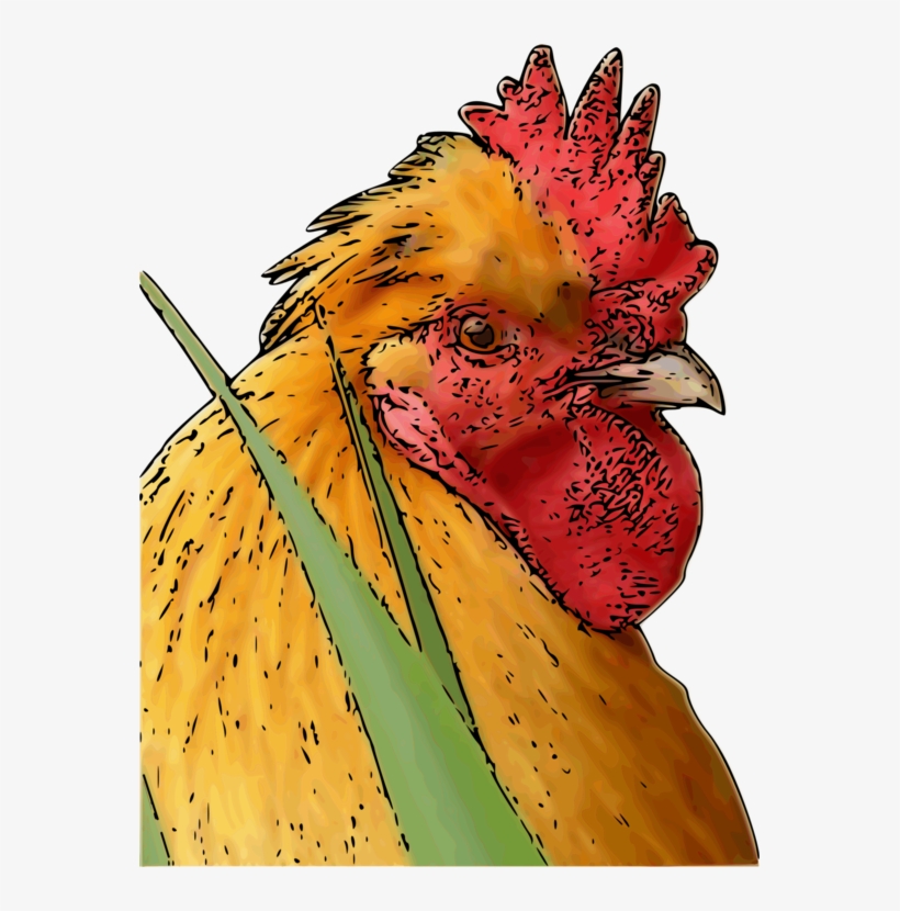 Rooster Poultry Fowl Silkie Leghorn Chicken - Chicken, transparent png download