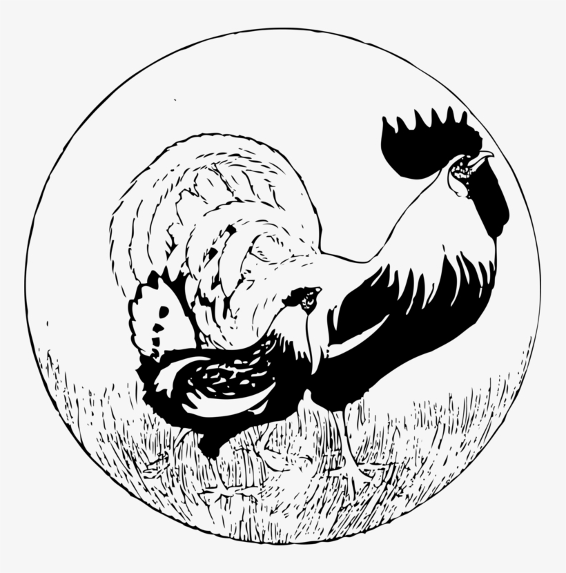 Rooster Faverolles Chicken Dorking Chicken Drawing - Golden Farm Fresh Poster, transparent png download