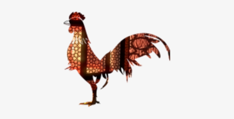 Rooster Chicken Poultry Fowl Phasianidae - Chicken, transparent png download