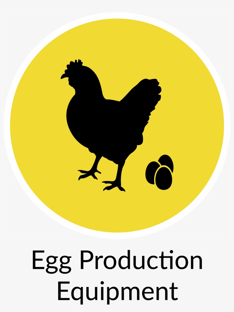 Broiler Equipment - Rooster, transparent png download