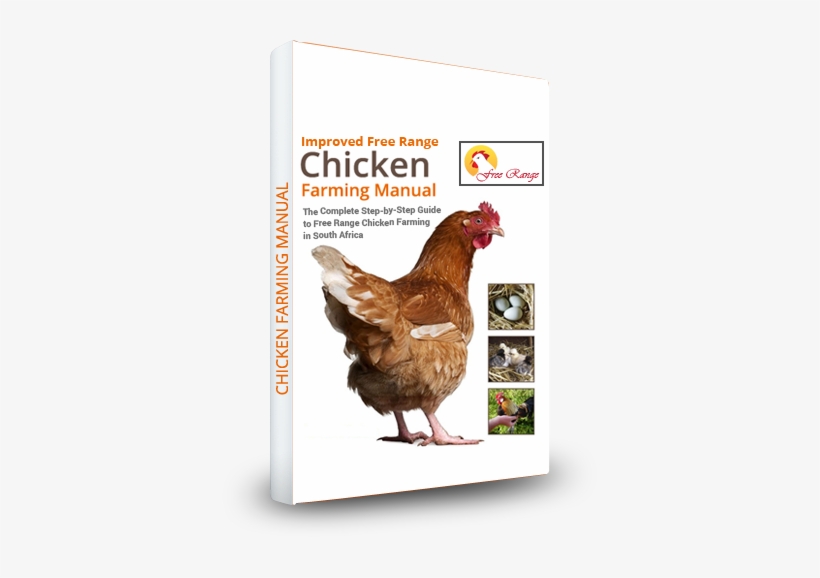 Broiler Chicken Production Business Plan - Chicken Manual: The Complete Step-by-step Guide To, transparent png download