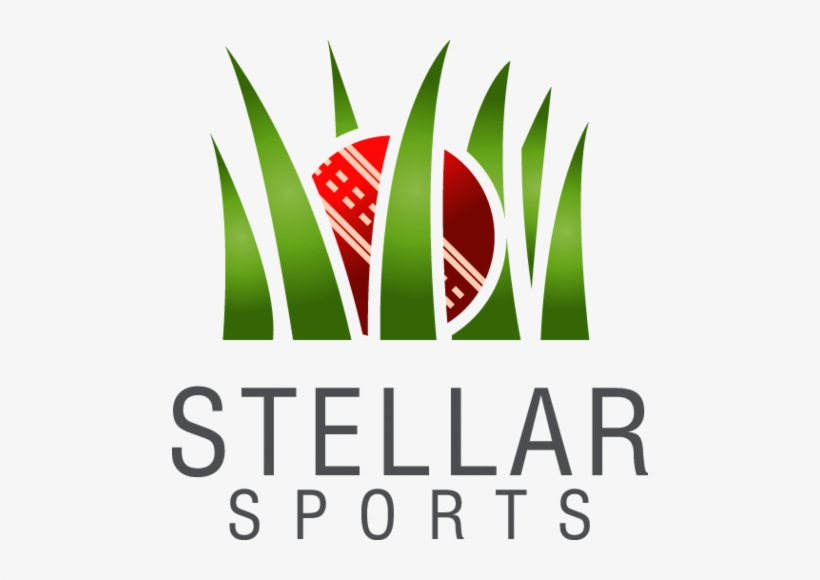 Stellar Sports Ltd - Diversity Celebration, transparent png download