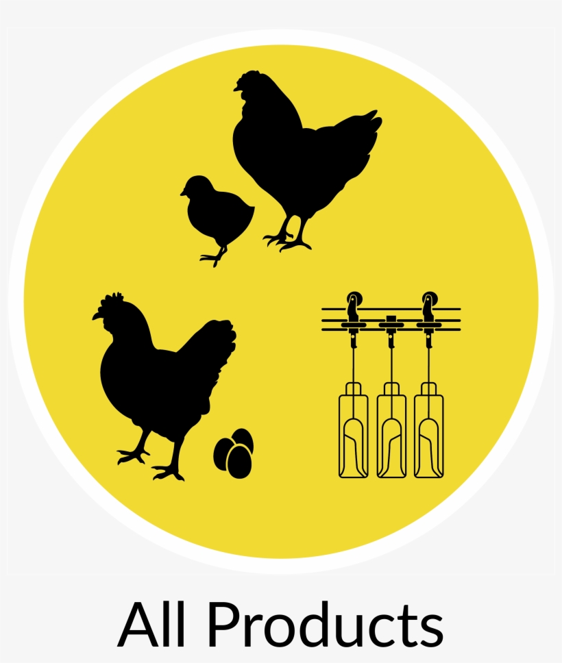 Broiler Equipment - Albuterol (generic Airet, Proventil, Ventolin) .63, transparent png download