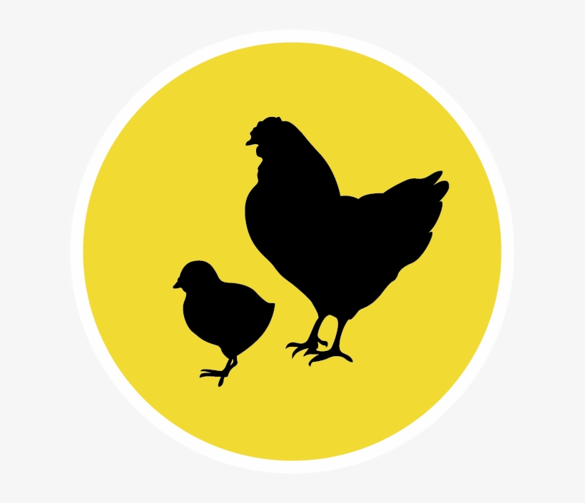 Broiler Equipment - Chicken As Food, transparent png download