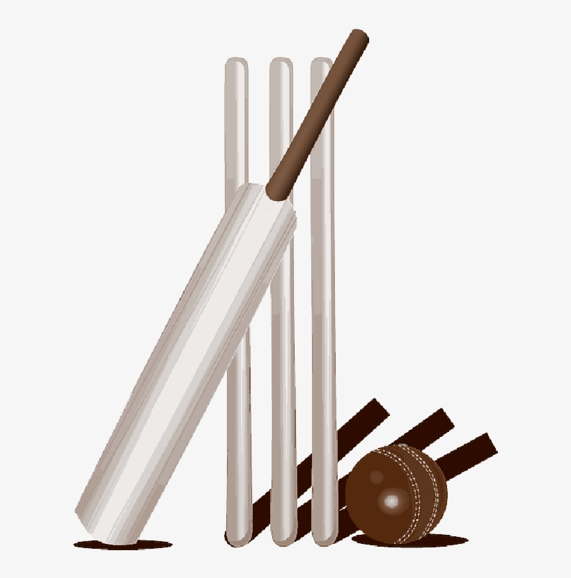 Mb Image/png - Cricket, transparent png download